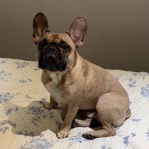 Meet your Posher, Angela